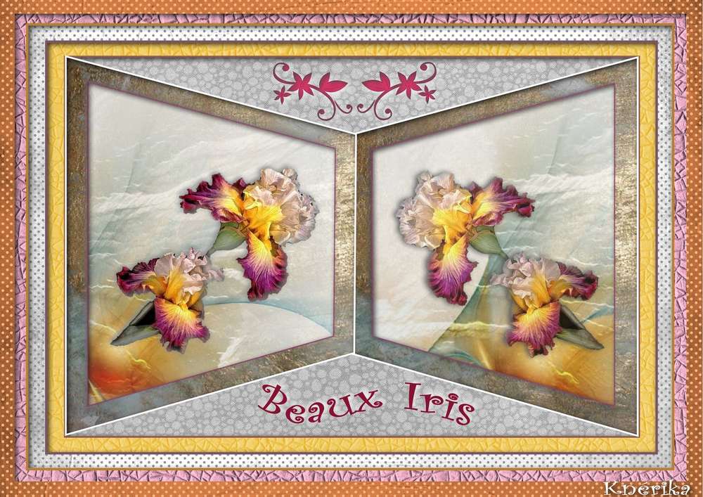 beaux_iris__C__du_17-06-19_OK