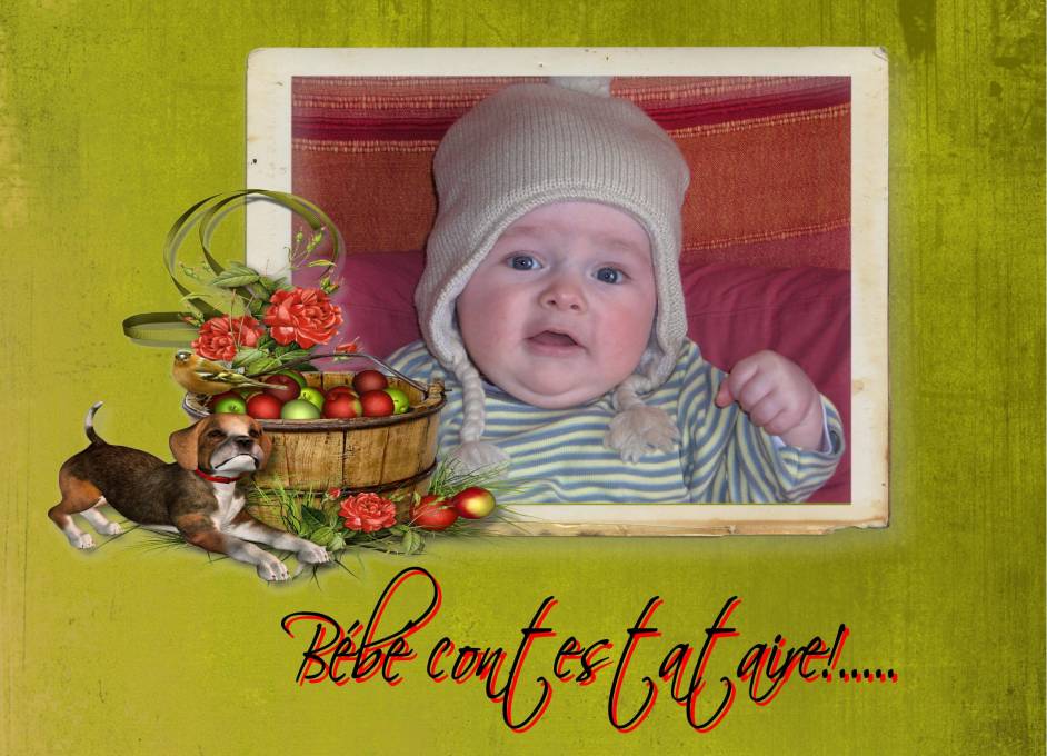 Bébé contestataire!..........