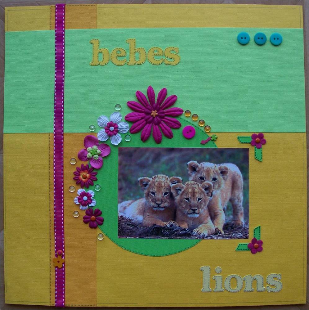 Bébés Lions