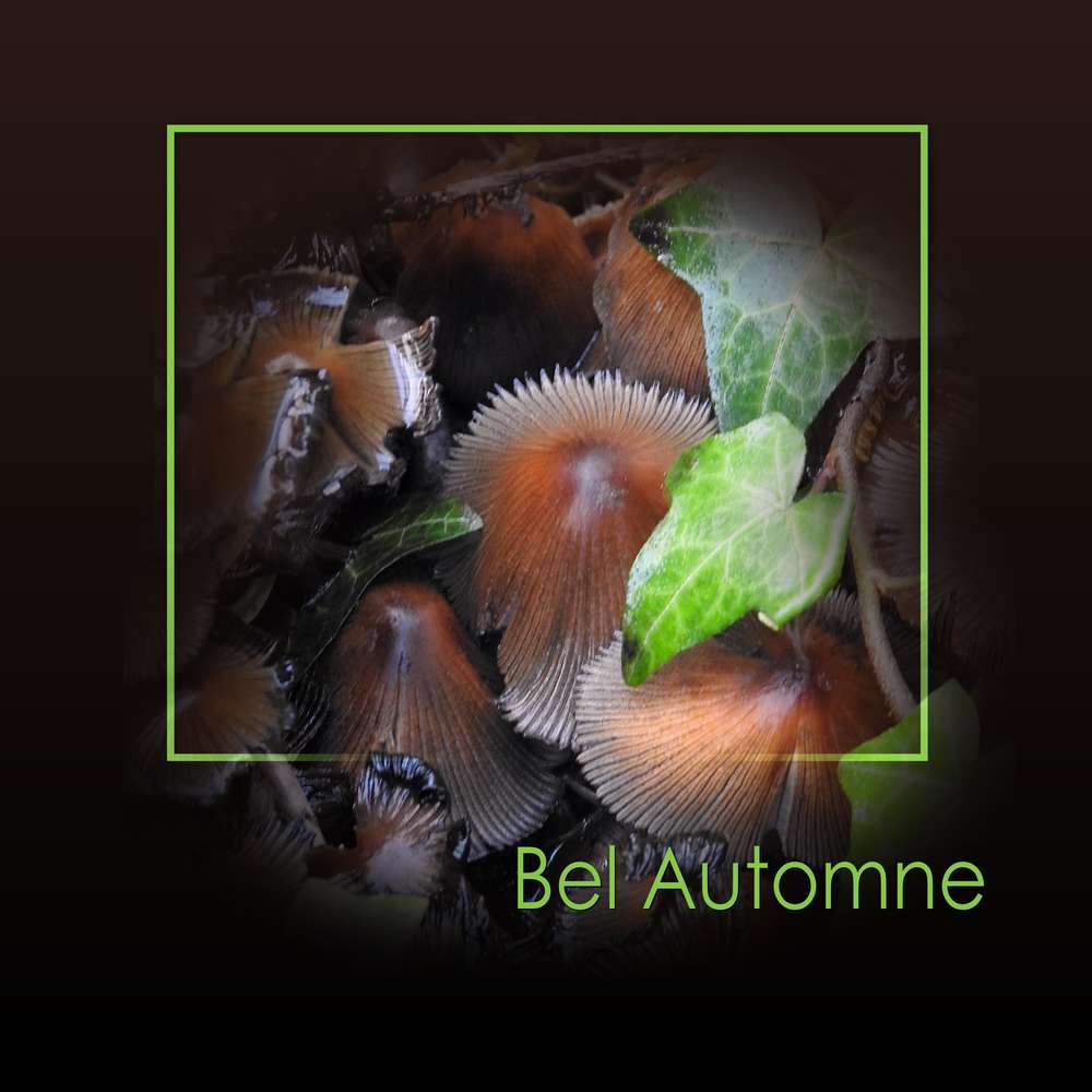 BEL AUTOMNE