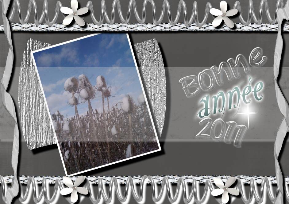 Belle année 2011 à toutes et à tous