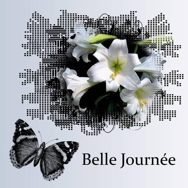 BELLE JOURNEE