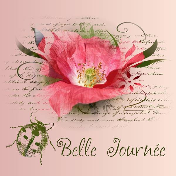 BELLE JOURNEE