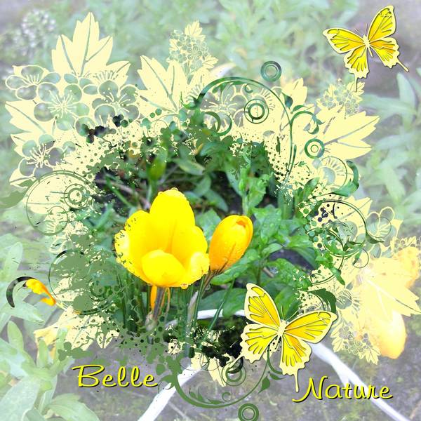 BELLE NATURE - 02 MARS 2014