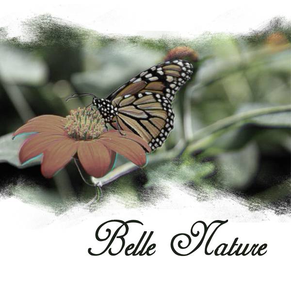 BELLE NATURE