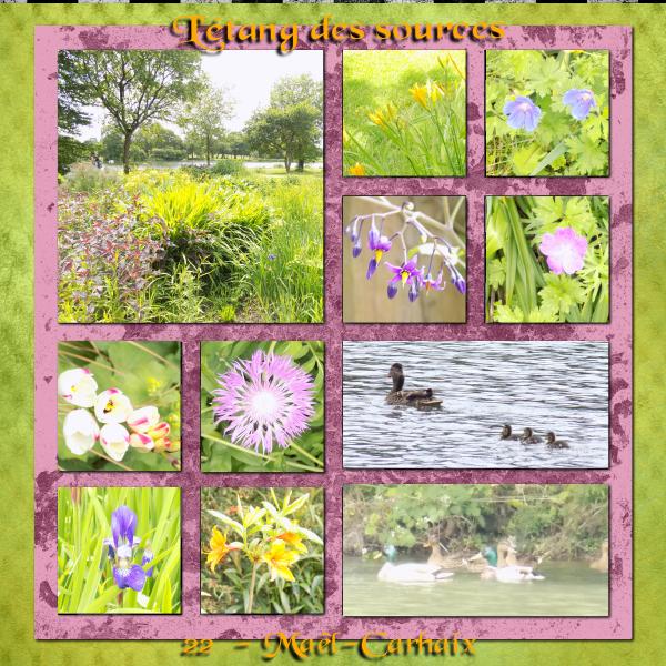 Belle_Promenade_____