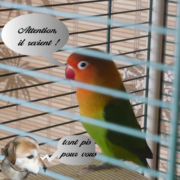 ben oui, tout arrive...