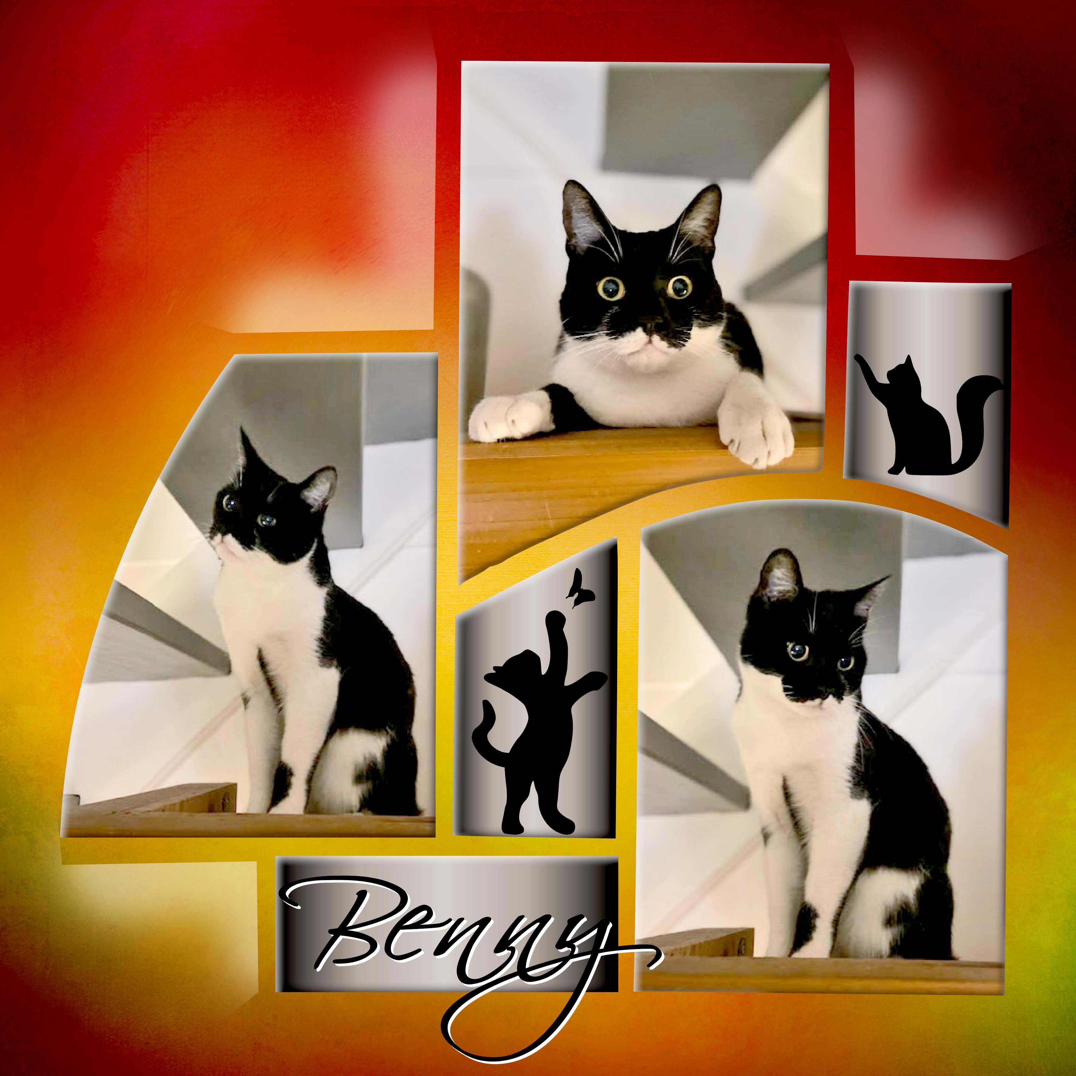 Benny