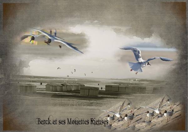 Berck_et_ses_mouettes_rieuses