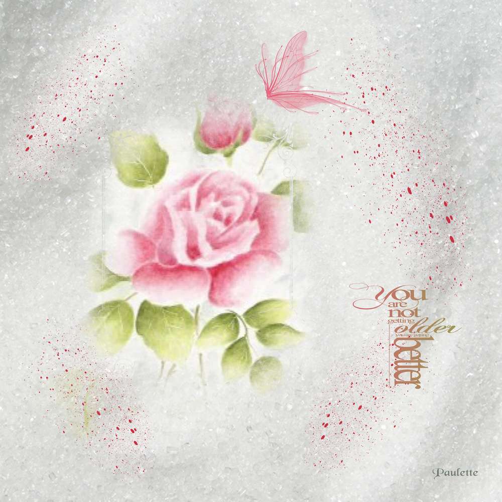 bérénice c'est ton jour