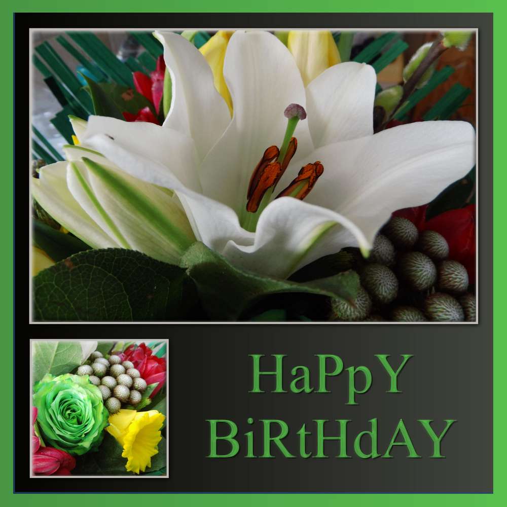 BERENICE - HAPPY BIRTHDAY