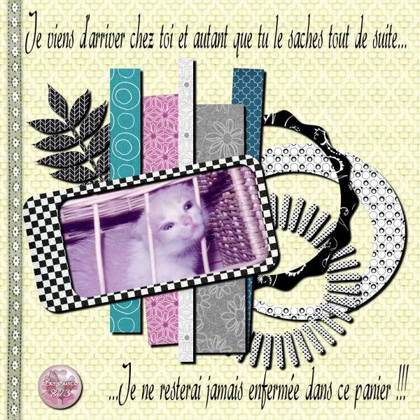 Bergamote dans panier