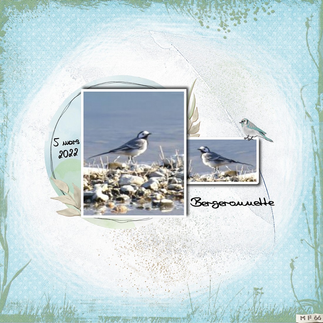bergeronnette 5 mars 22.jpg