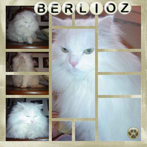 BERLIOZ