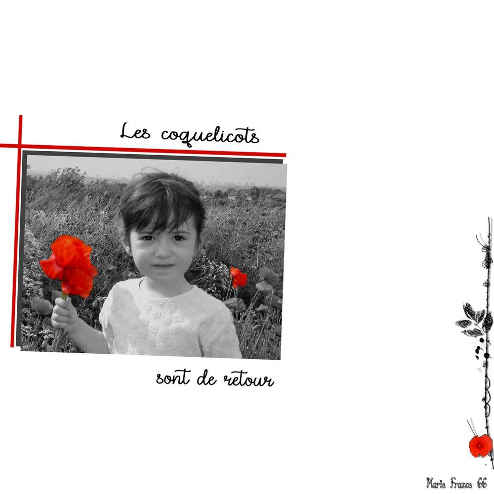 BETTIE ET LES COQUELICOTS