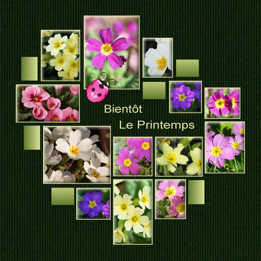 BIENTOT LE PRINTEMPS