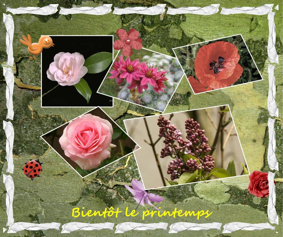 bientôt le printemps
