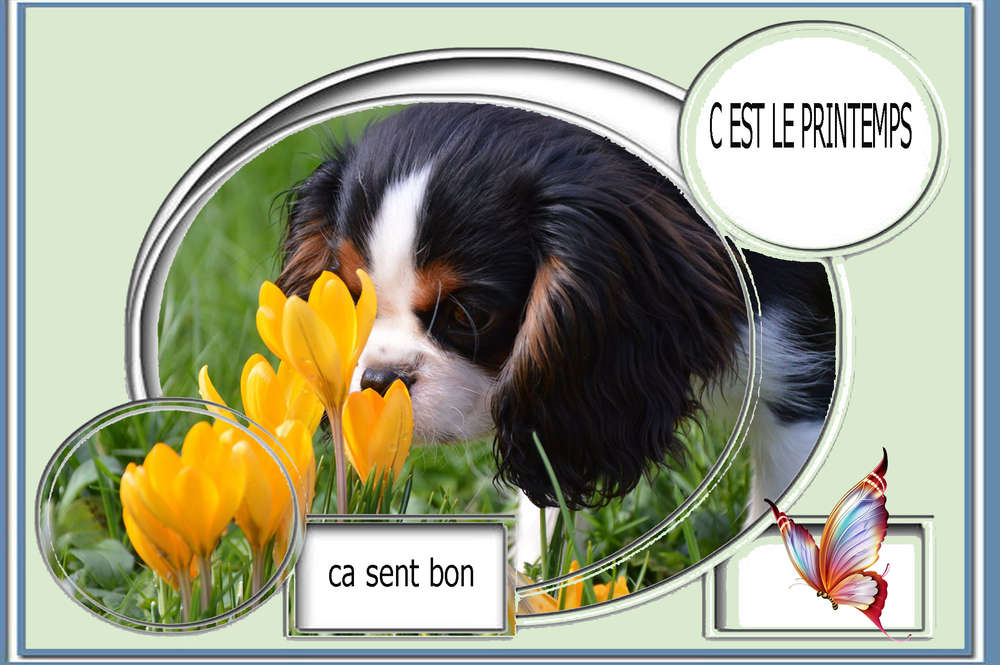 bientot_le_printemps1