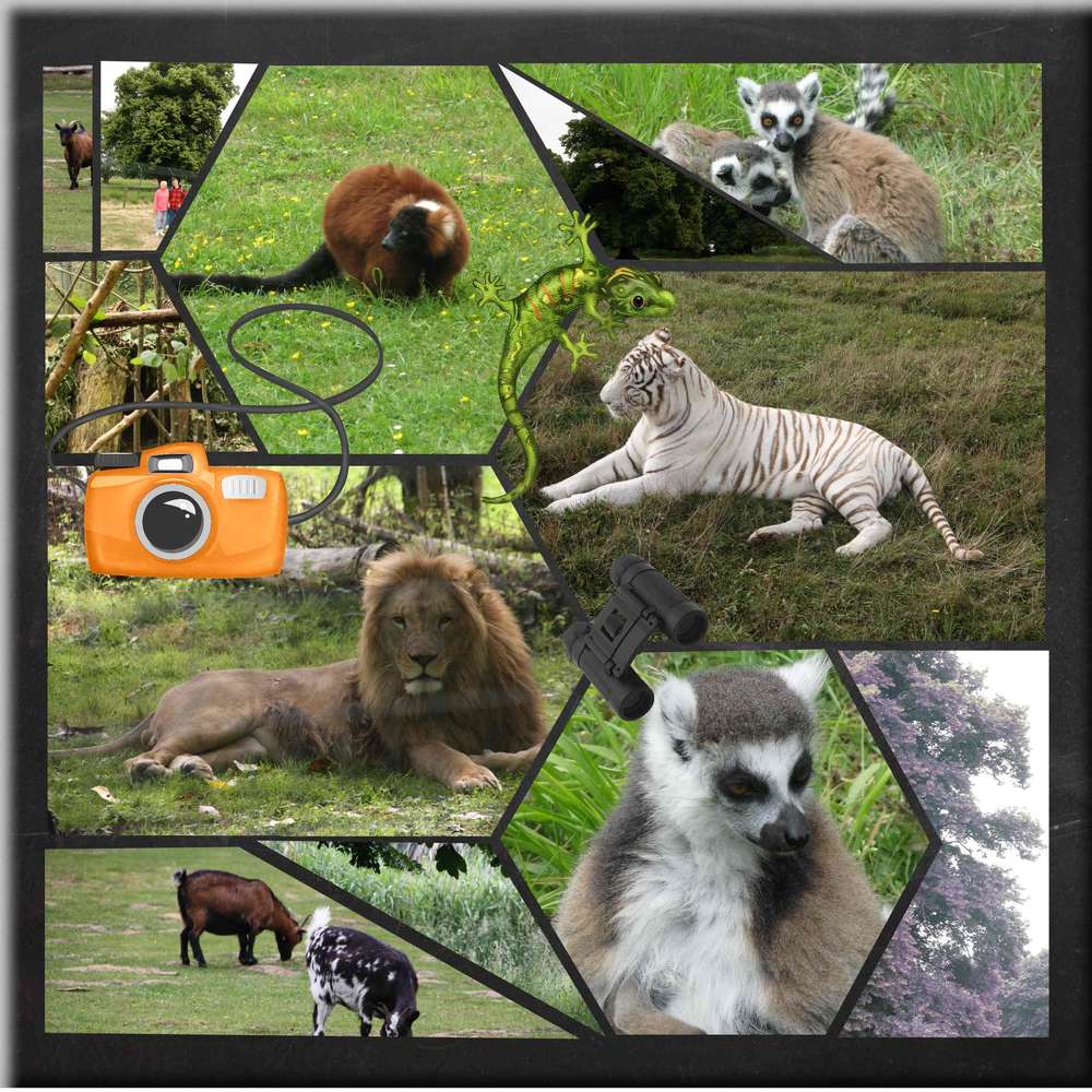 bienvenu au zoo de Nesle