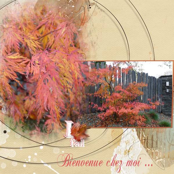 Bienvenue ... chez moi...