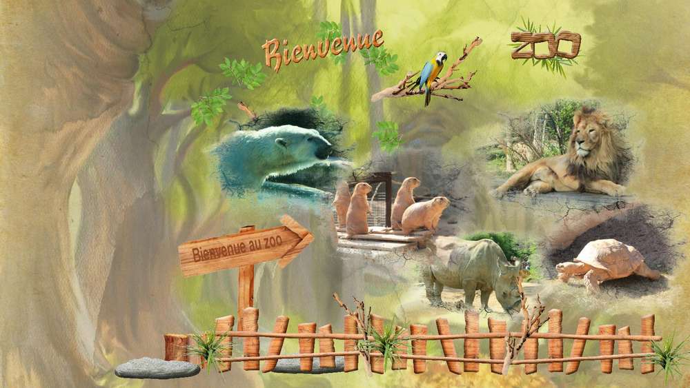Bienvenue_au_zoo__3_