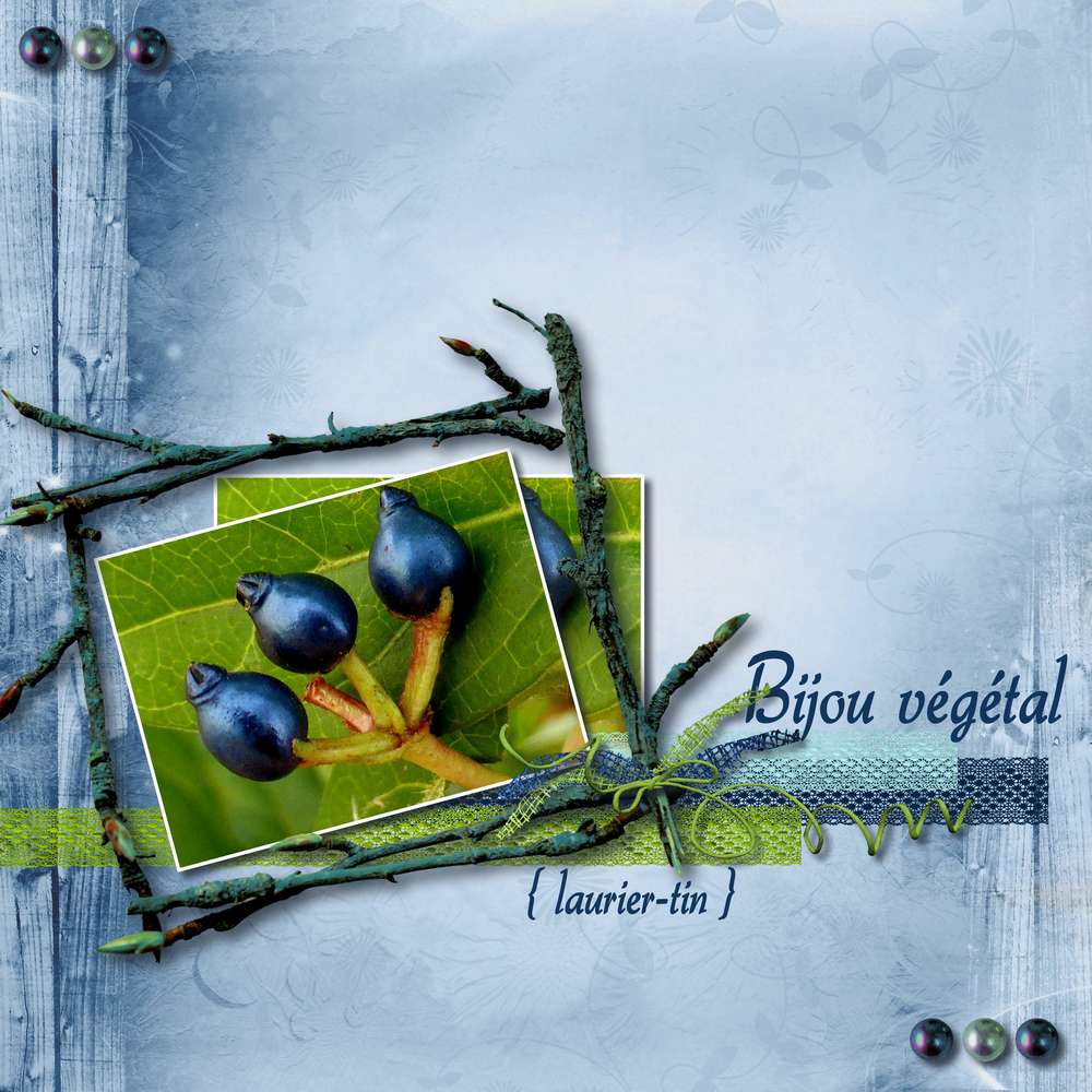 Bijou végétal