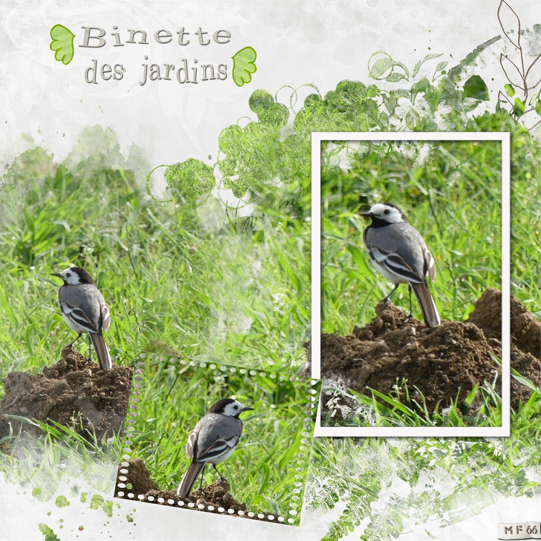 binette des jardins 15.06.22 (1).jpg