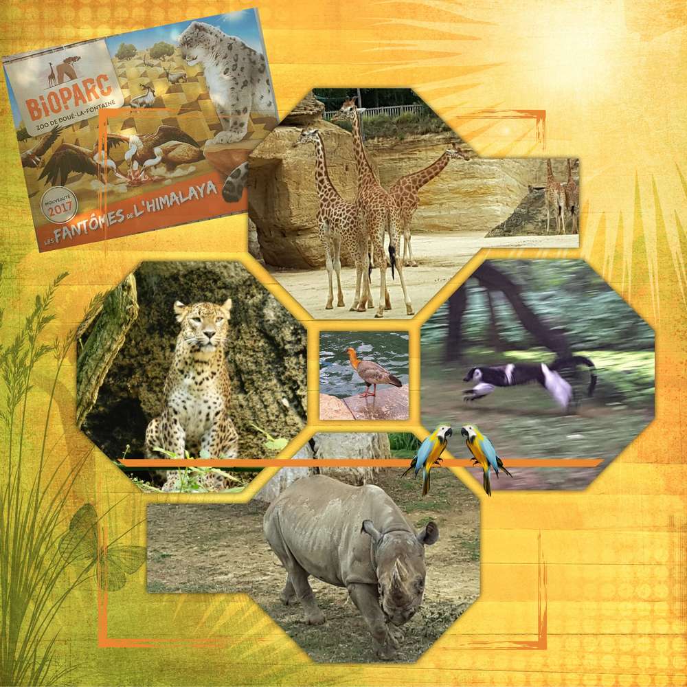 Bioparc de Doué la Fontaine