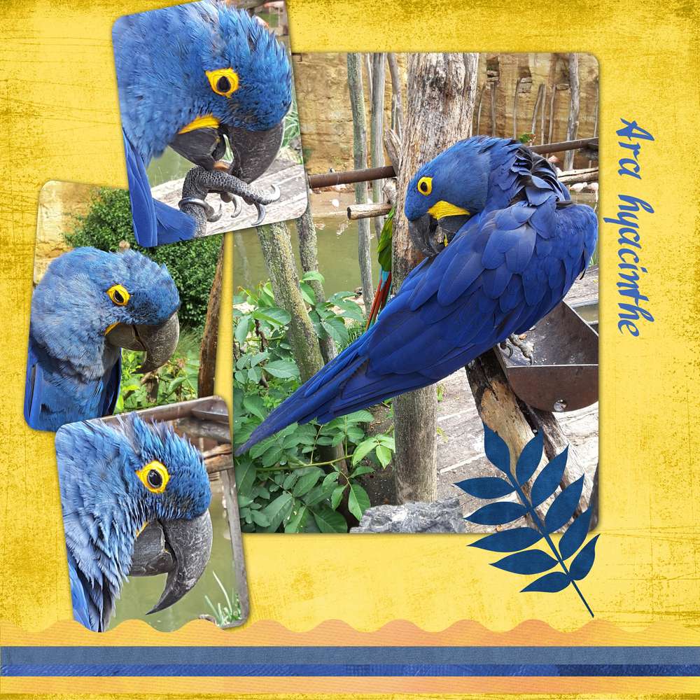 Bioparc de Doué la Fontaine