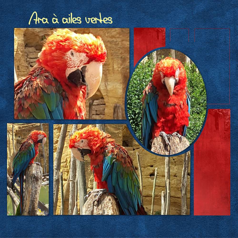 Bioparc de Doué la Fontaine