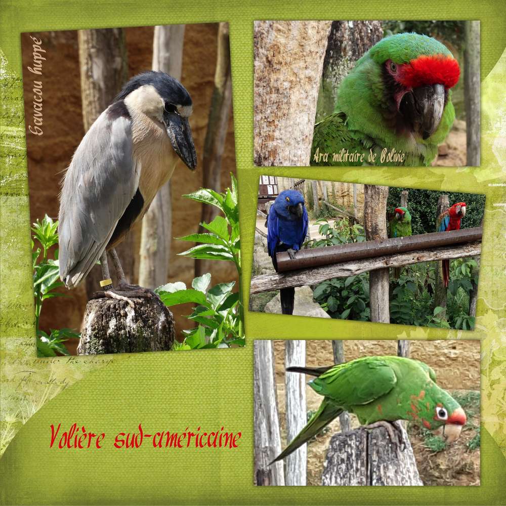 Bioparc de Doué la Fontaine