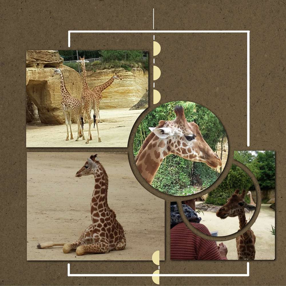 Bioparc de Doué la Fontaine