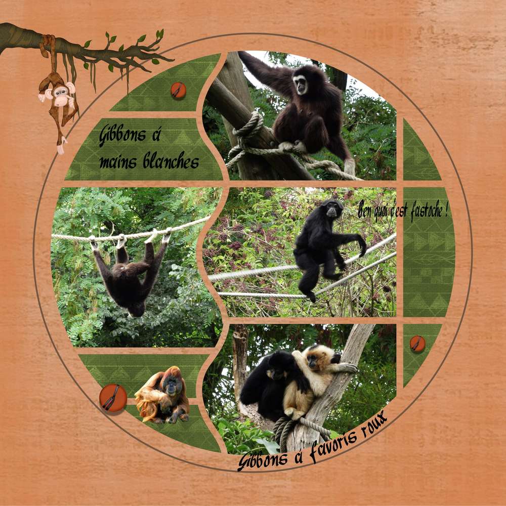 Bioparc de Doué la Fontaine