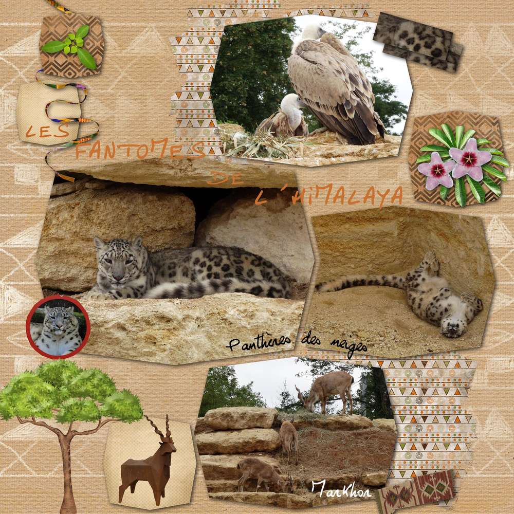 Bioparc de Doué la Fontaine