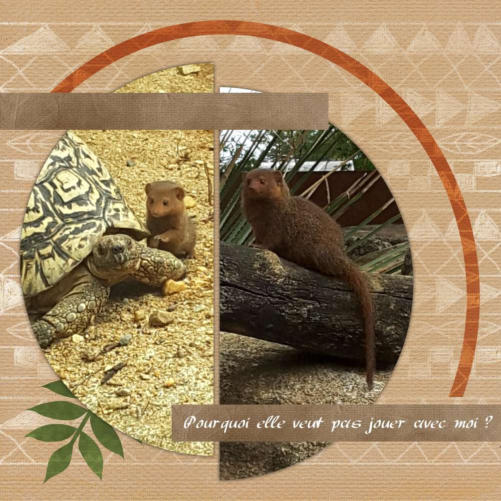 Bioparc de Doué la Fontaine