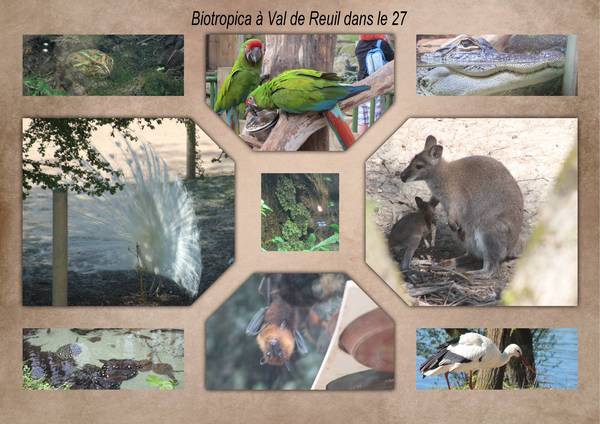 biotropica_Realisation_du_20-04-15__page_1_