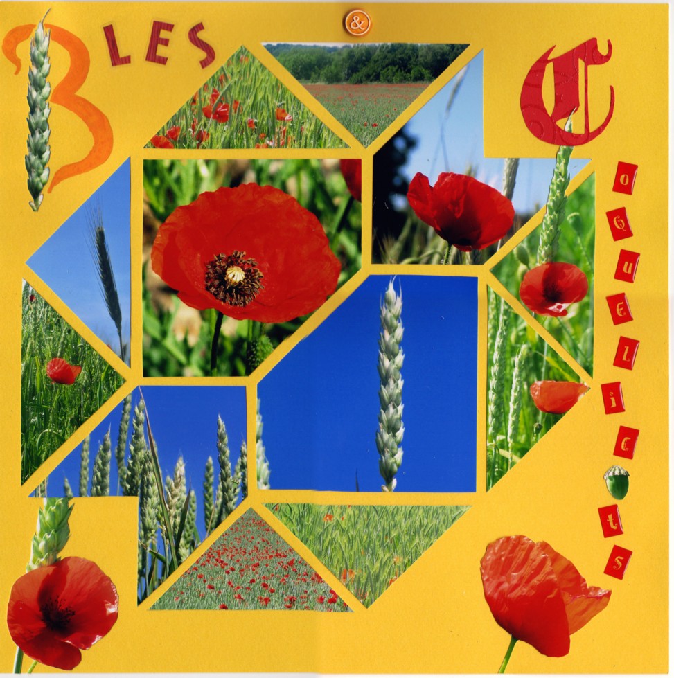 Blés et Coquelicots