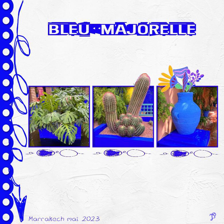 bleu Majorelle 20 octobre.jpg