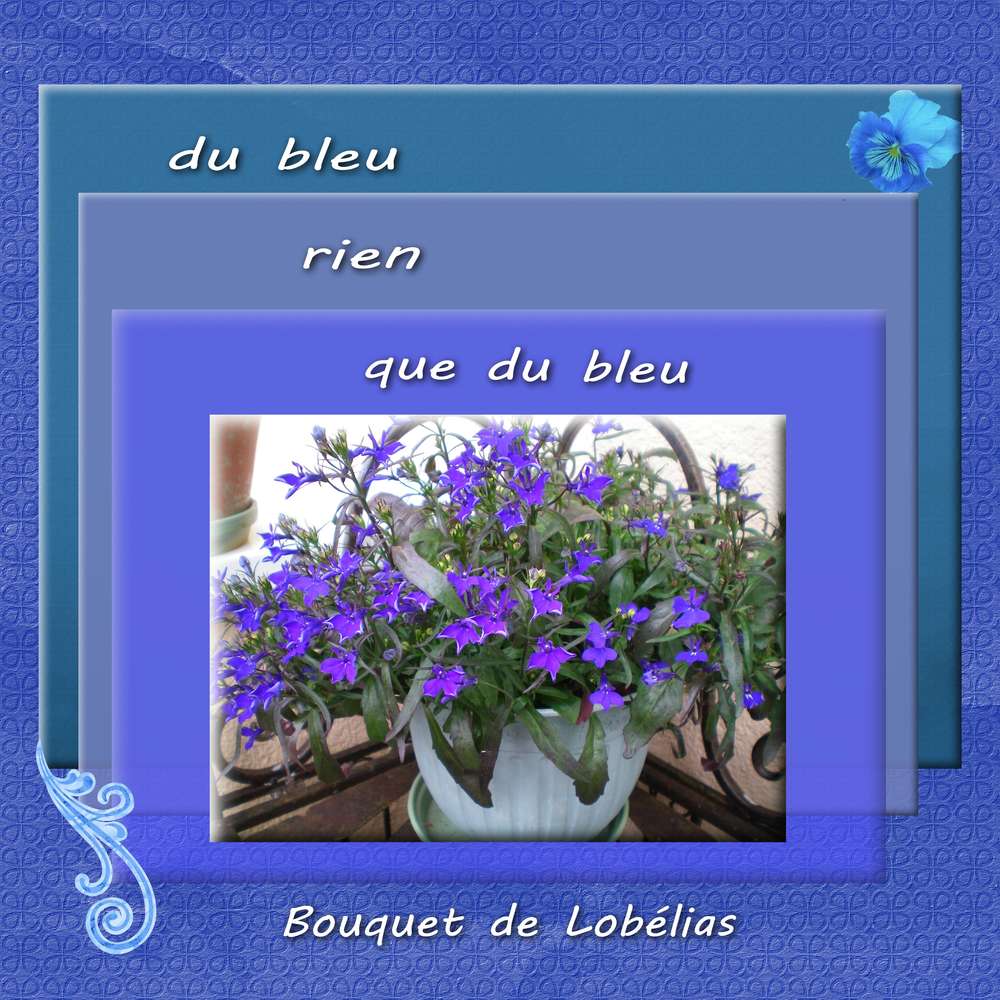 bleu_bleu