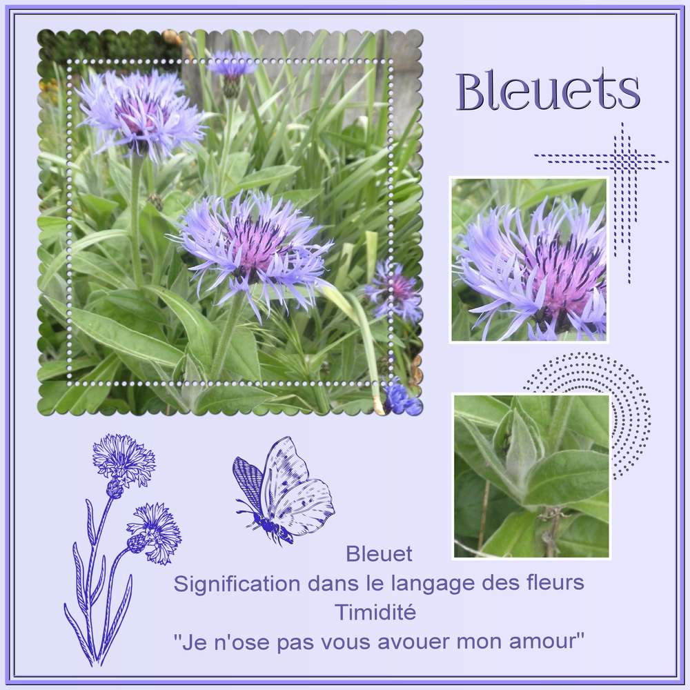 BLEUETS