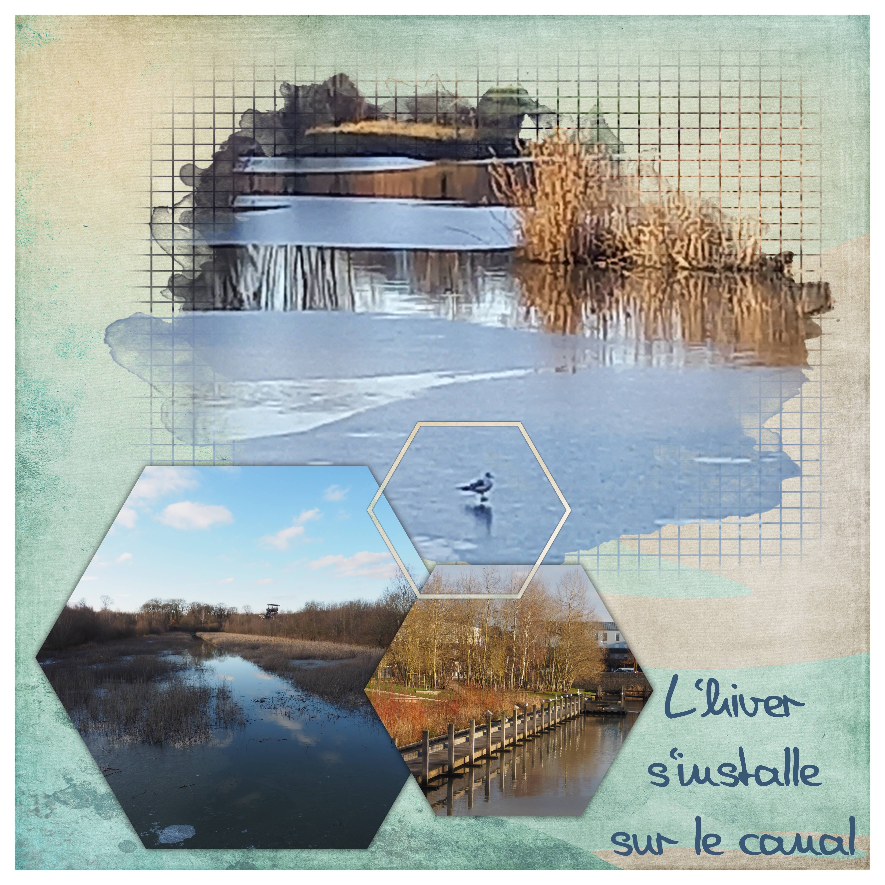 Bois d'Arcy 2021 02a.jpg