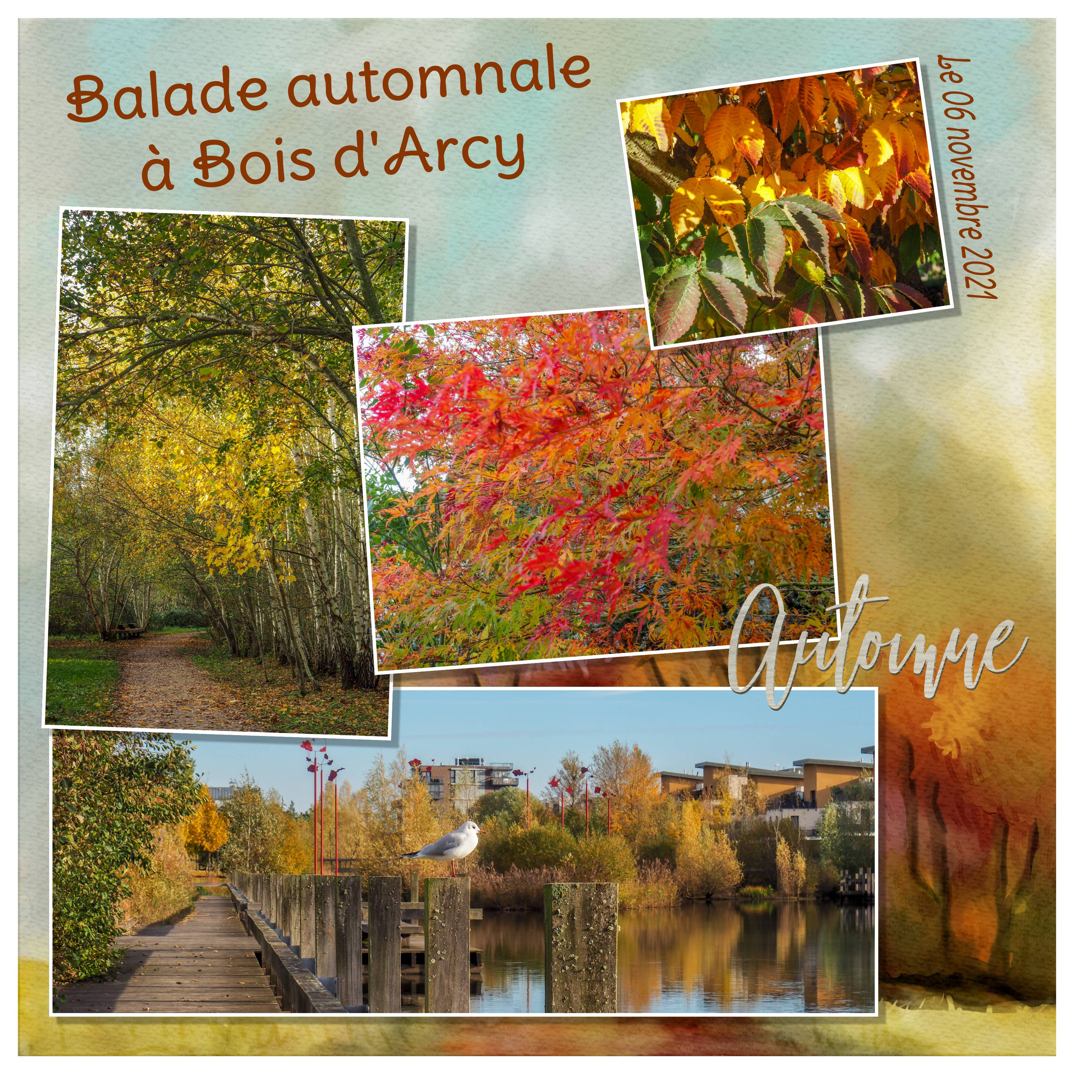 Bois d'Arcy 2021 118.jpg