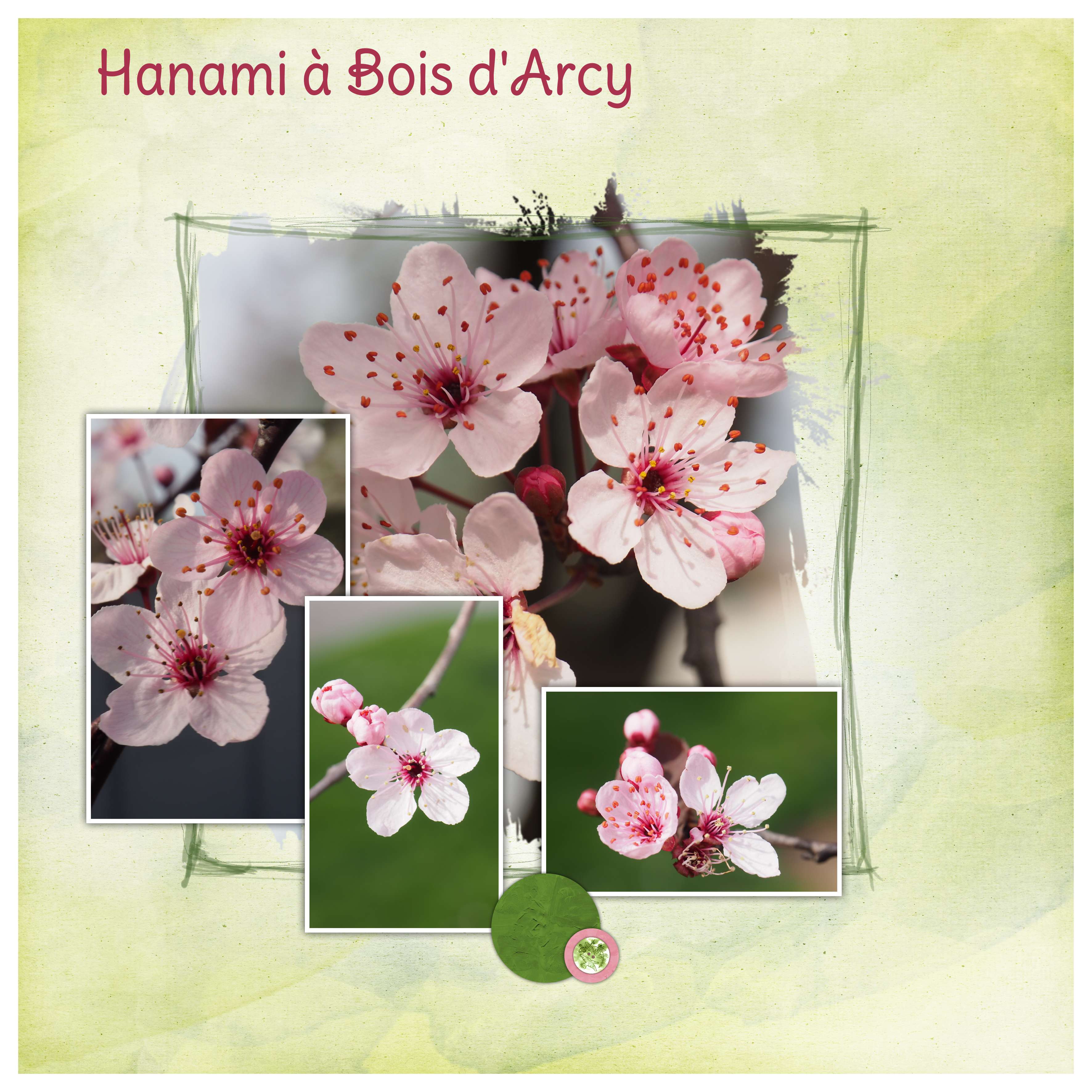 Bois d'Arcy 2021 32.jpg