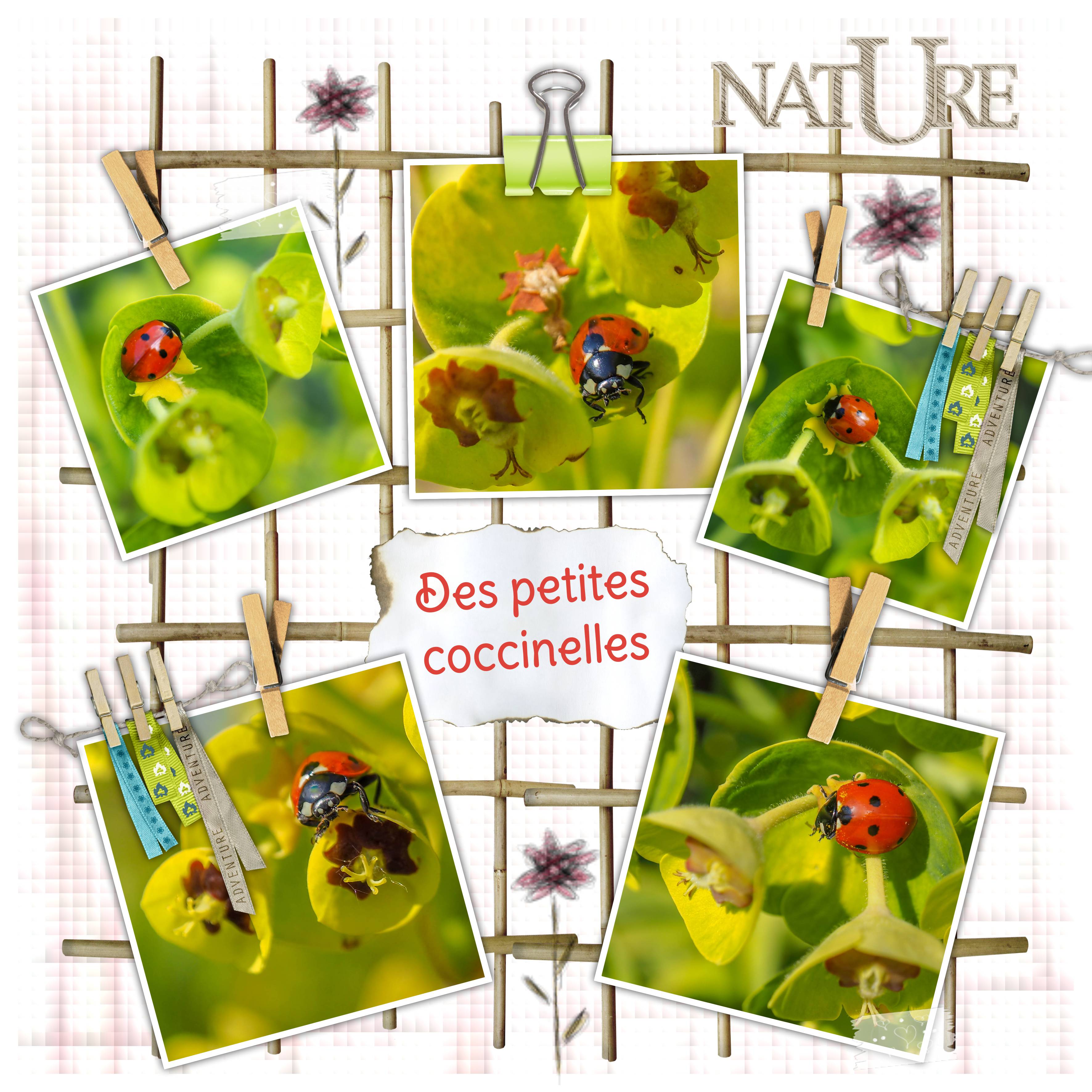 Bois d'Arcy 2021 61.jpg