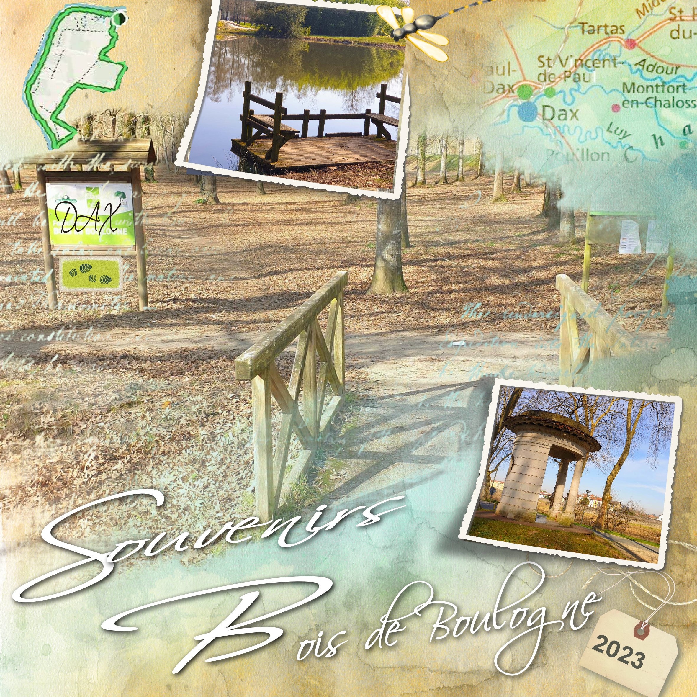 Bois de boulogne et berges.jpg