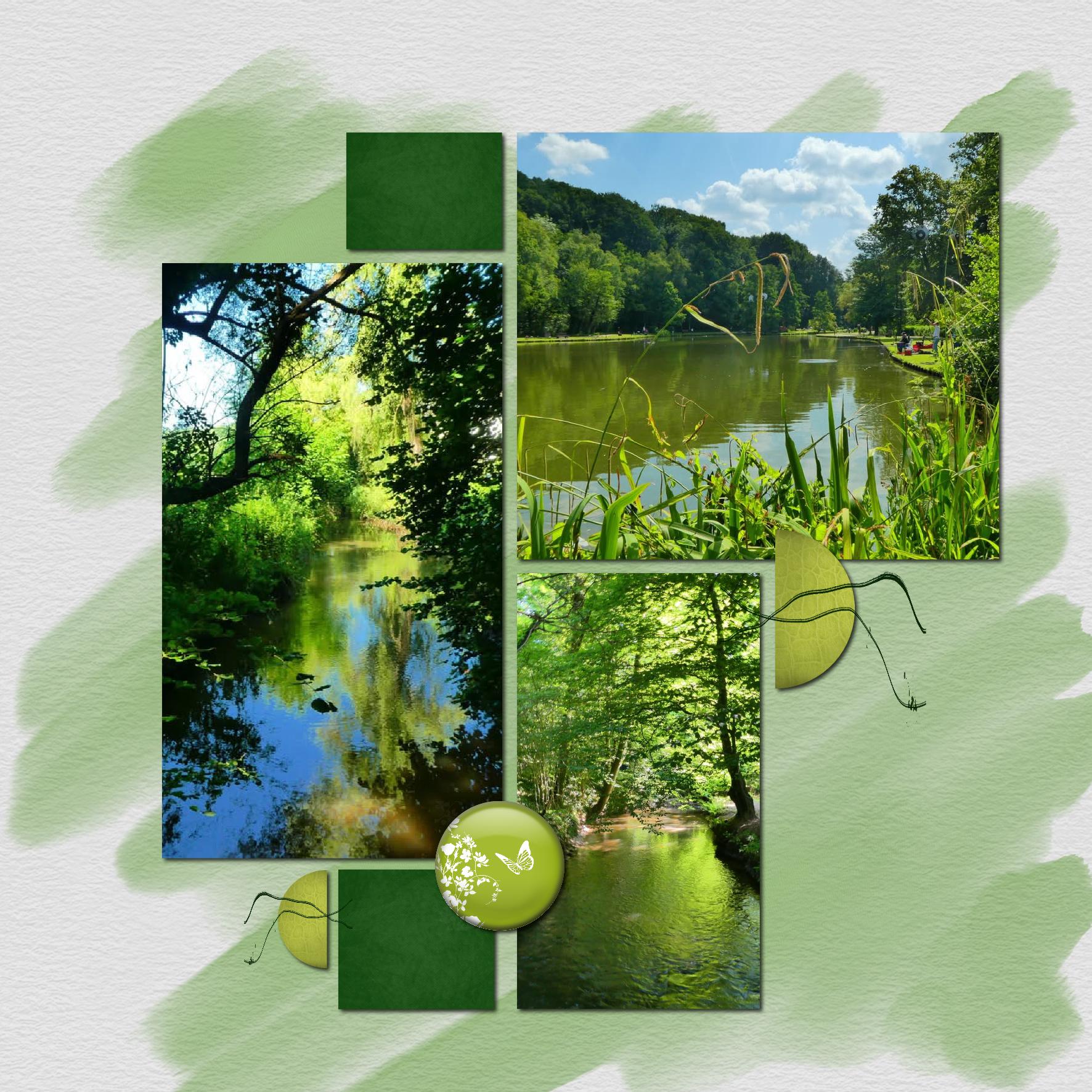 bois des rêves.jpg