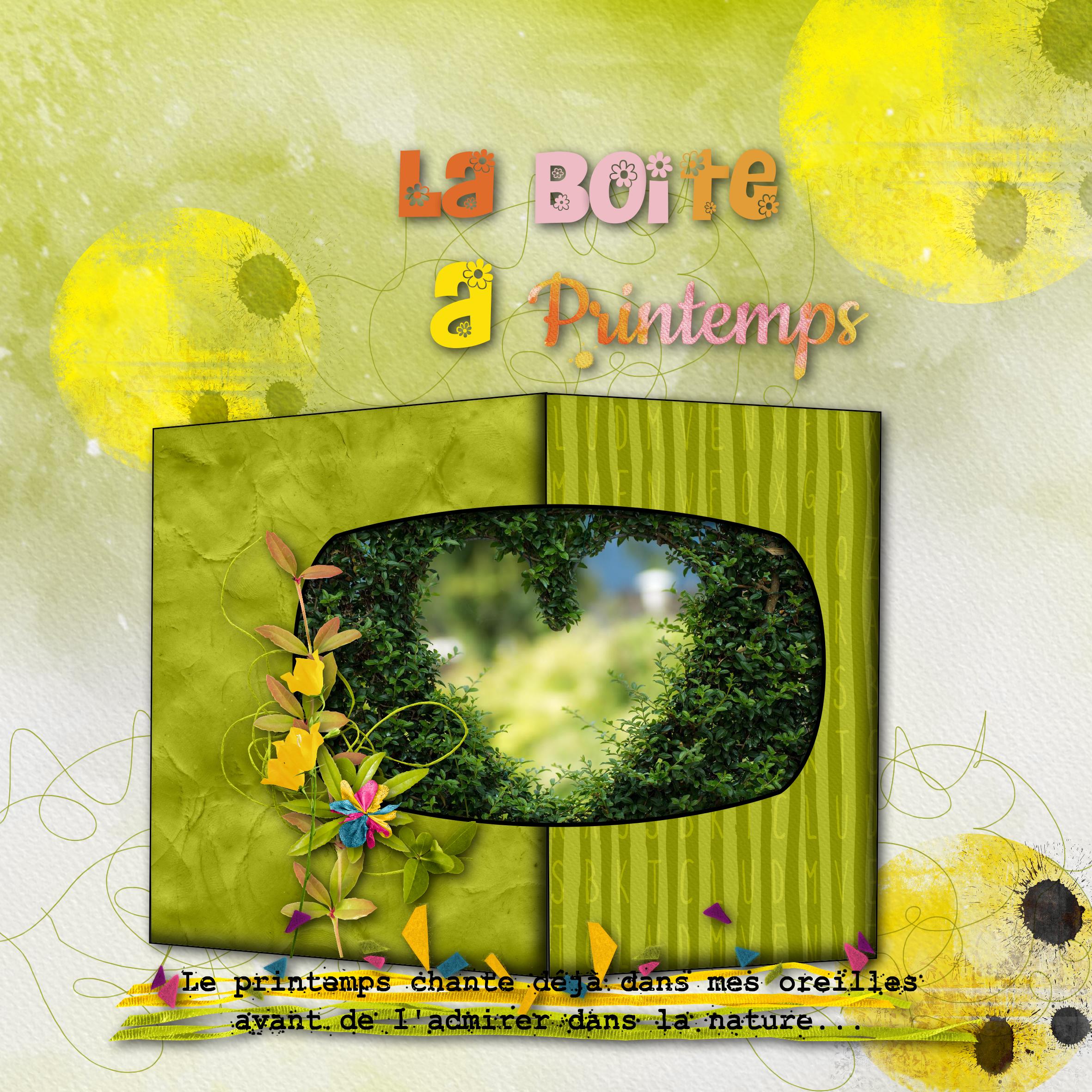 boite à printemps.jpg