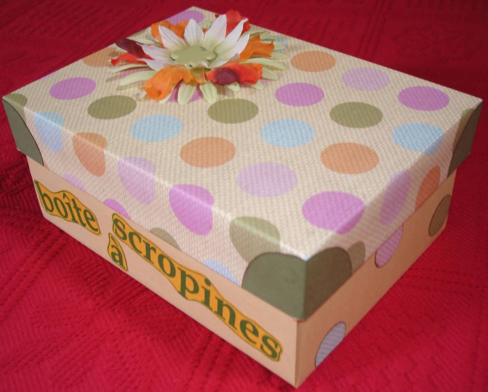 Boîte à scropines
