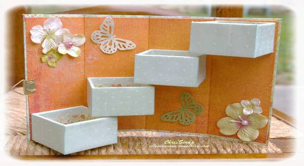 boîte échelle ouverte