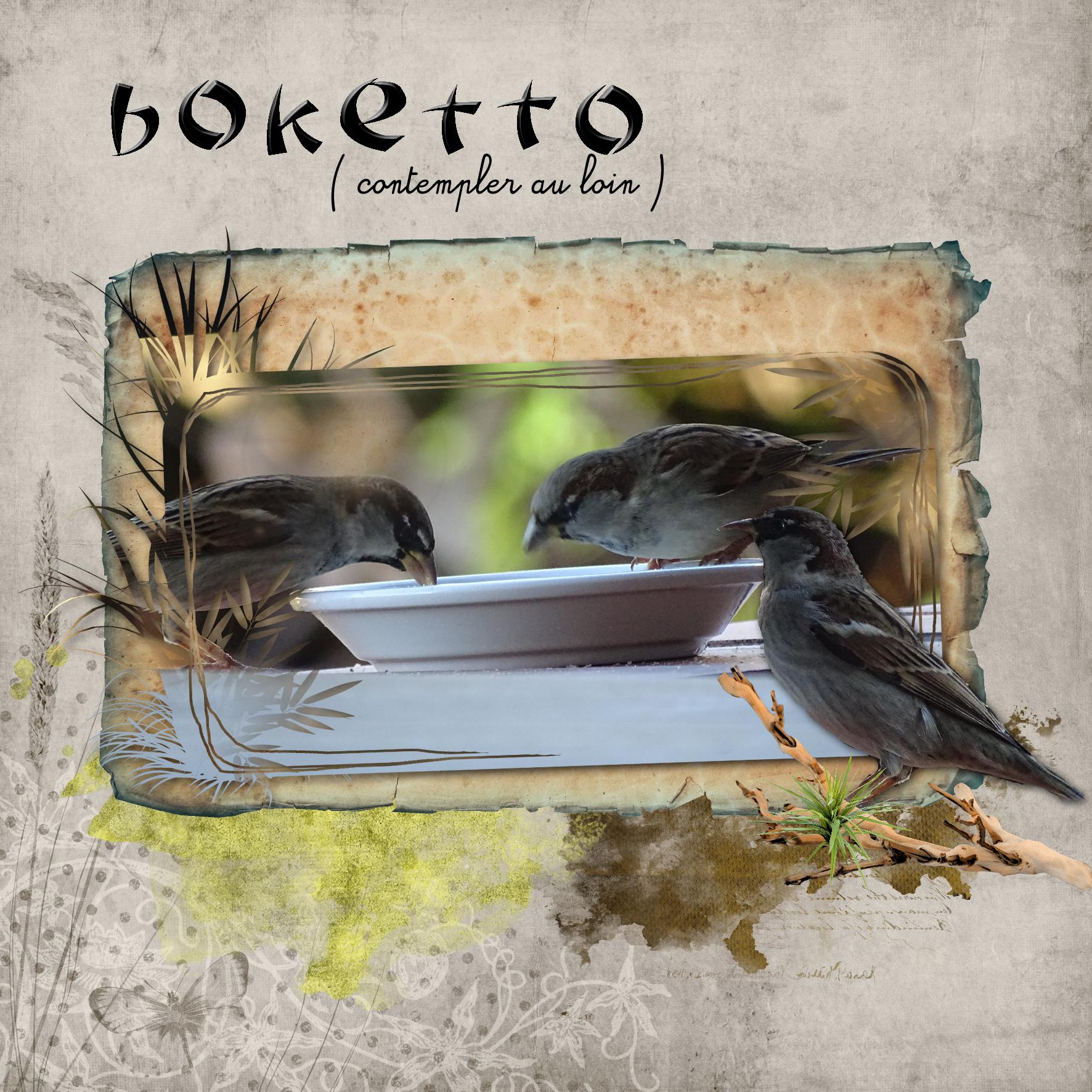 boketto.jpg